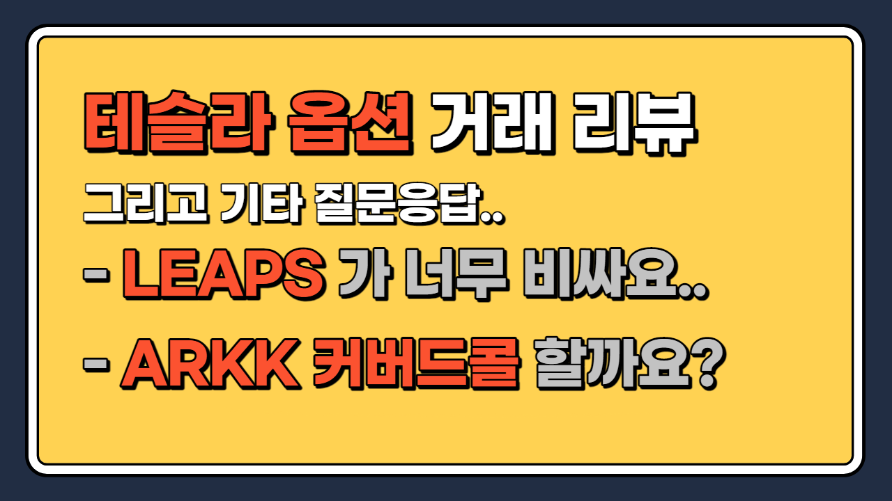 테슬라 주식 옵션 실전예제 - Mikook Option